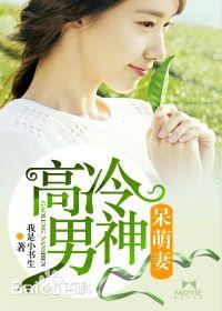 高冷男神呆萌妻