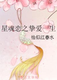 星魂恋之挚爱一生