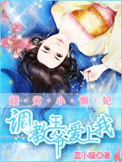 顽劣小懒妃：调教摄政王