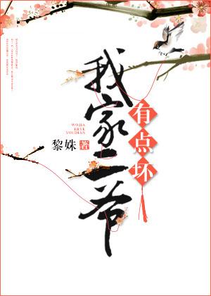 我家二爷有点坏