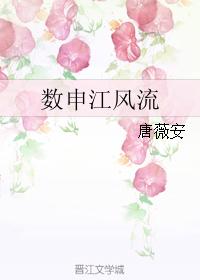 数申江风流