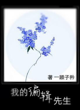 我的编辑先生