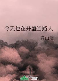今天也在并盛当路人