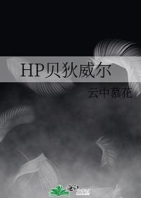 HP贝狄威尔