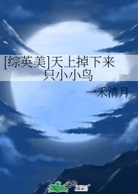 天上掉下来只小小鸟