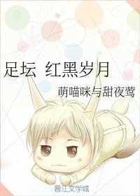 足坛 红黑岁月