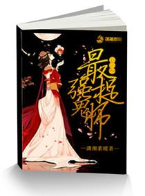 偷心总裁之诱妻入怀