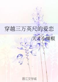 穿越三万英尺的爱恋
